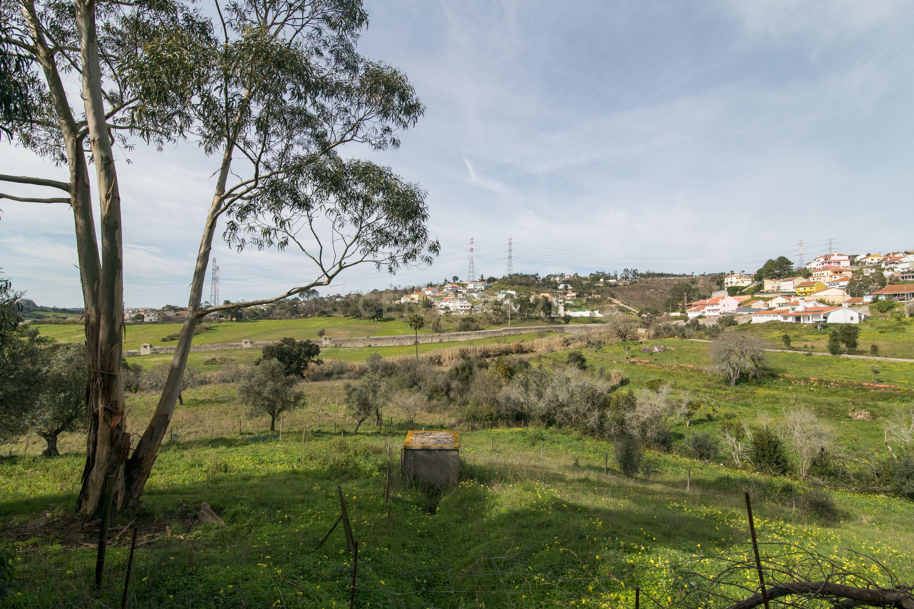 Quinta do Bretão – Um Paraíso no Campo às Portas da Cidade - Image 29