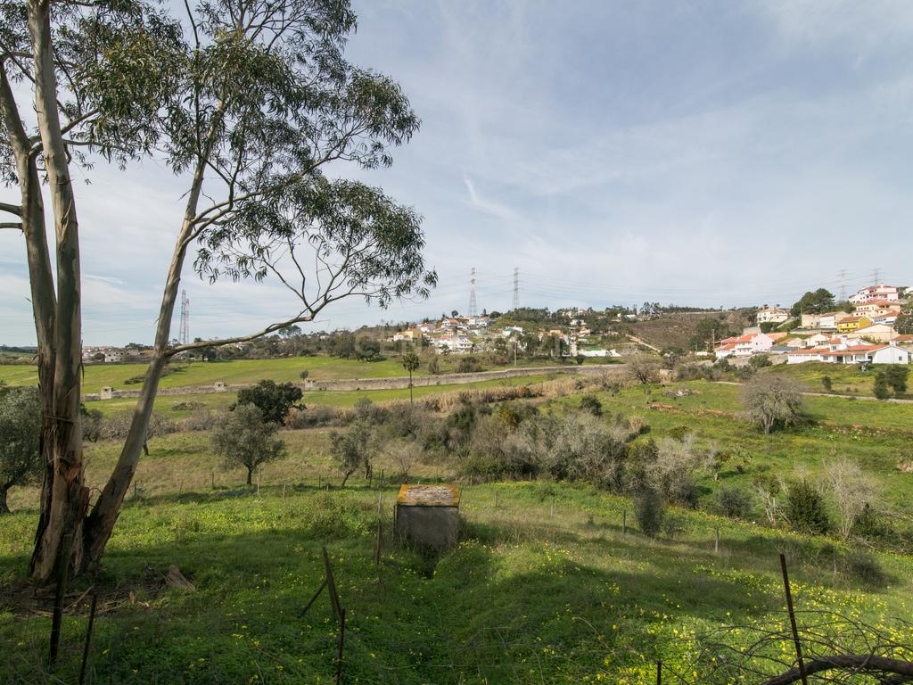 Quinta do Bretão – Um Paraíso no Campo às Portas da Cidade - Image 29