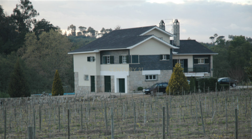 Quinta em Gouveia, com 4,4ha, para Venda - Image 3