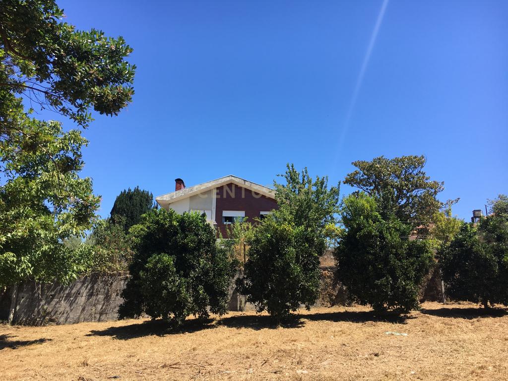 Vende-se Terreno para Moradias – Vila de Cucujães - Image 6