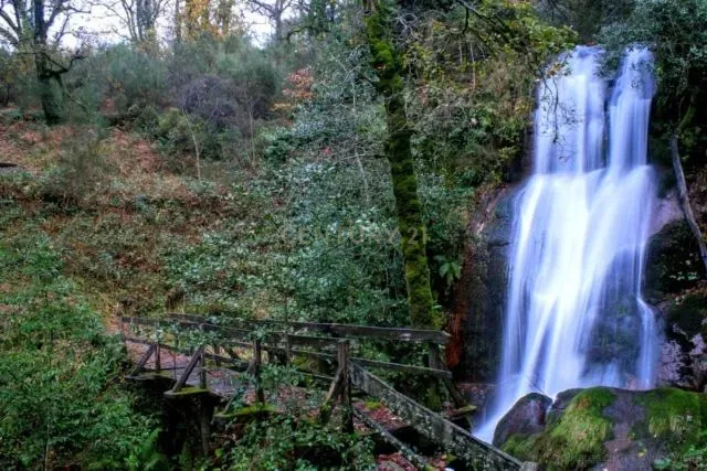Quinta com água Nascente na Zona de Gerês - Image 46