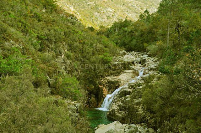 Quinta com água Nascente na Zona de Gerês - Image 44