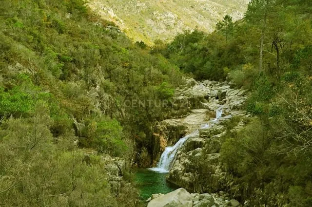 Moradia em Pedra na zona do Gerês - Image 26