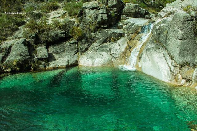 Quinta com água Nascente na Zona de Gerês - Image 49