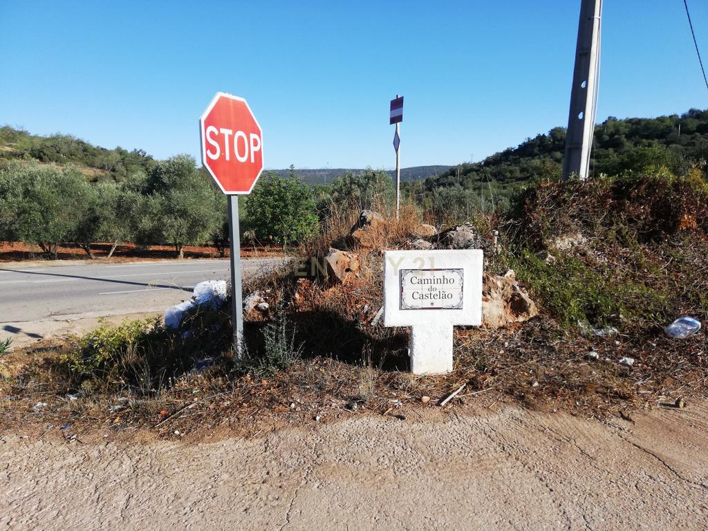 Terreno Plano - Image 4