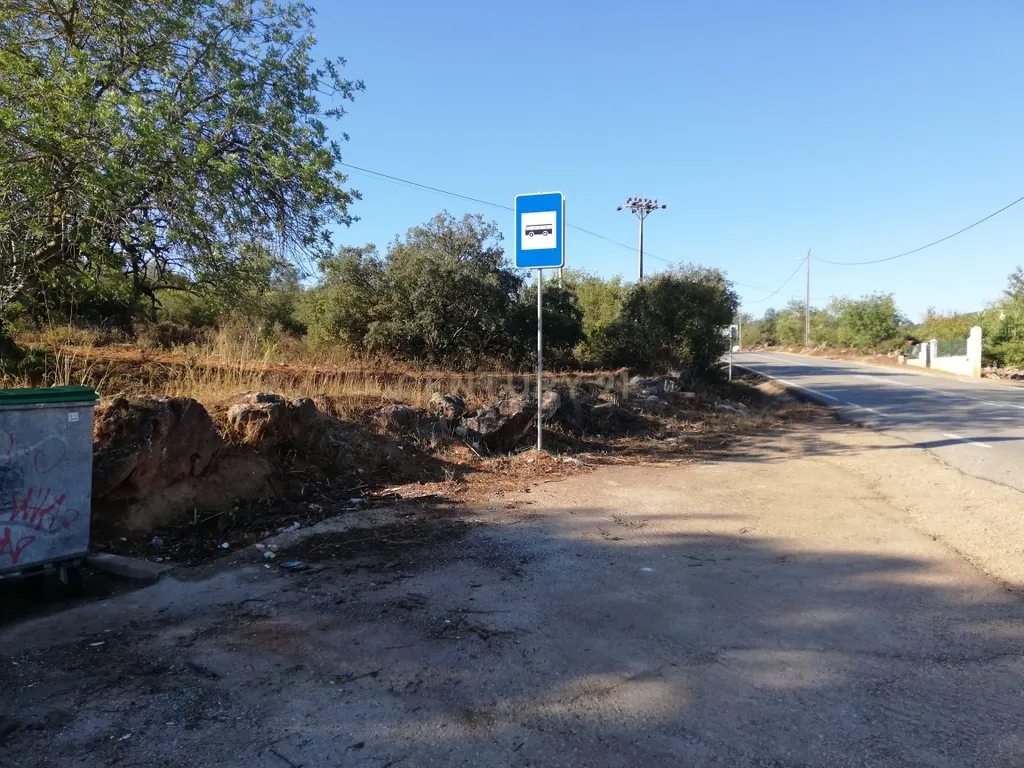 Terreno Plano - Image 7