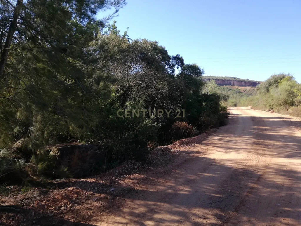 Terreno Plano - Image 6