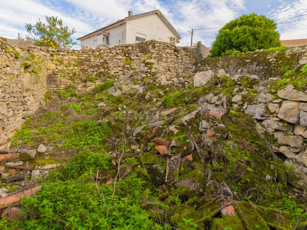 Ruína para Venda no Carvalhal de Ajubarrota - Image 13