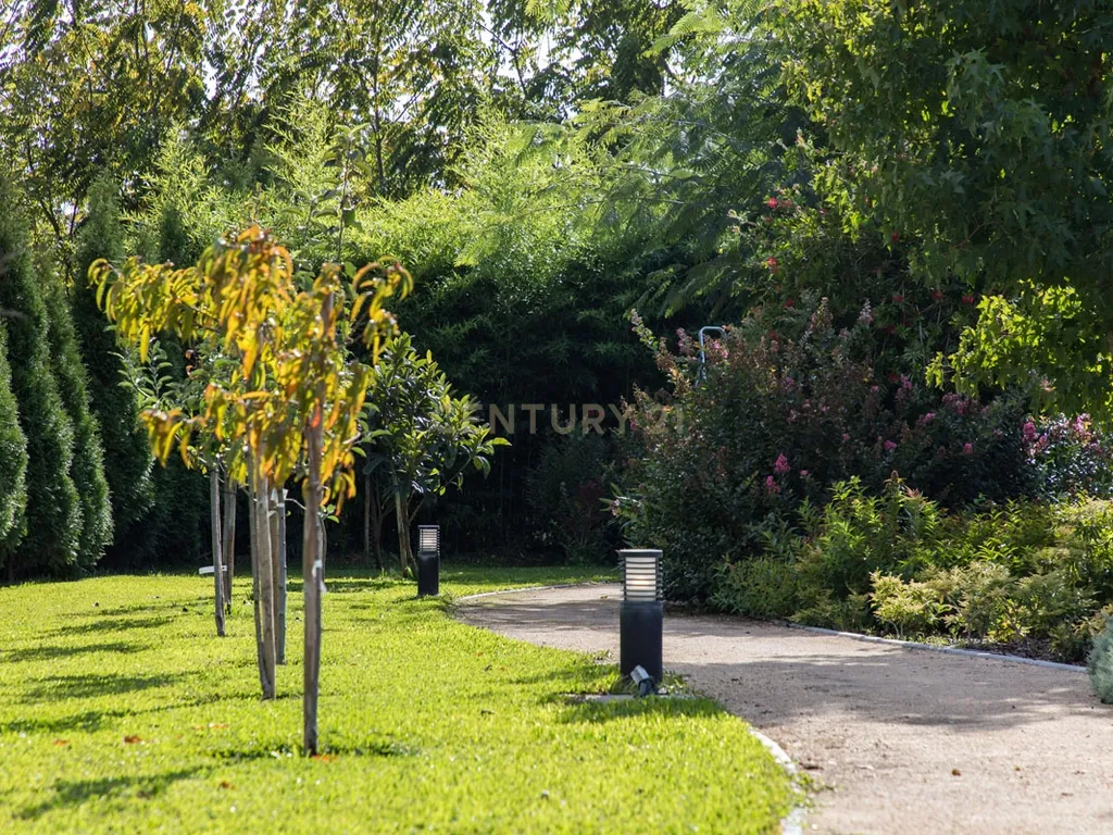 Propriedade T8 com Jardins, Lago e Potencial Alojamento - Localização Premium - Image 61