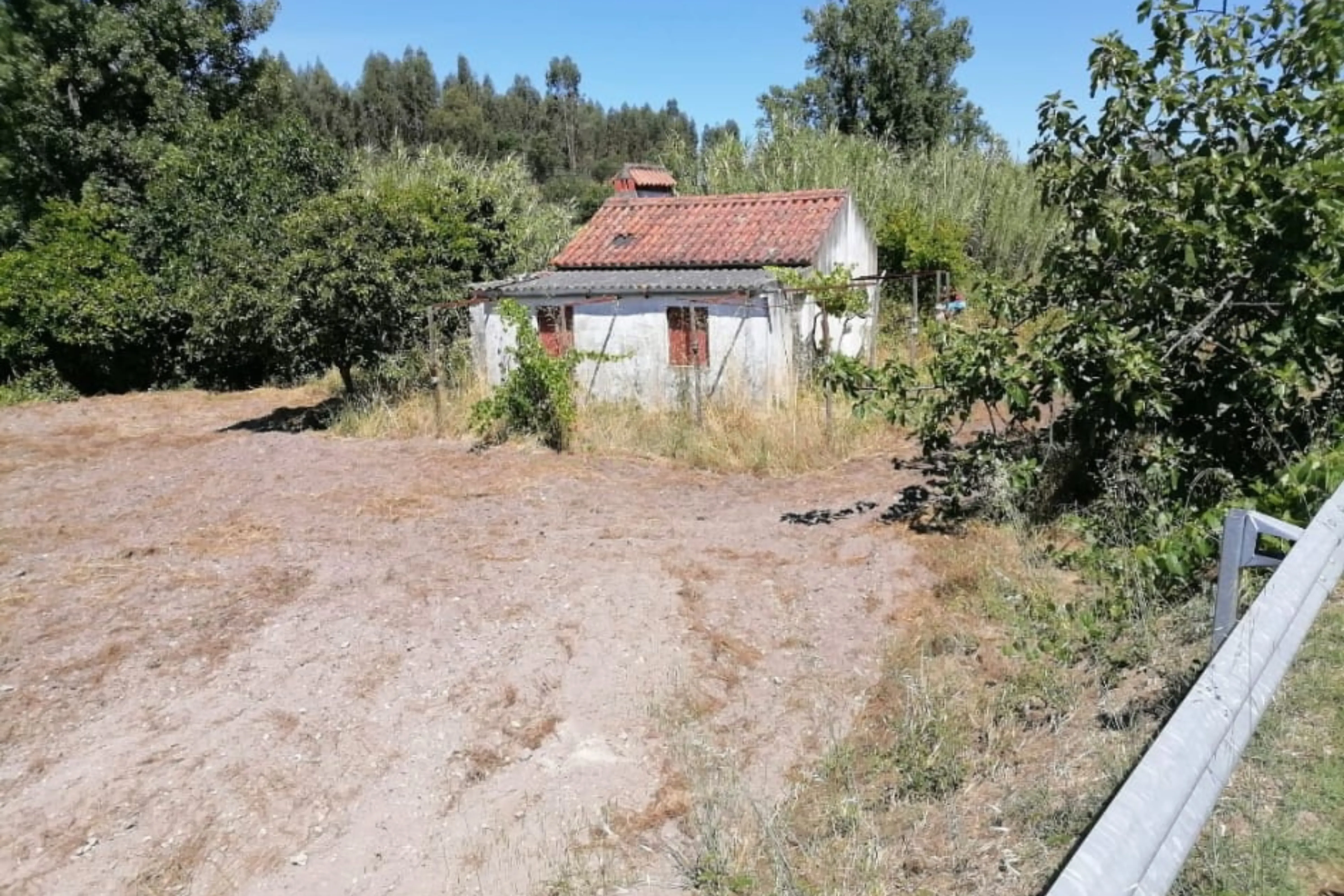 Fotografia 6 de Terreno Agrícola em Gavião, Portalegre - 2500m² com casa