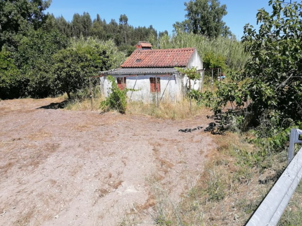 Terreno Agrícola em Gavião, Portalegre - 2500m² com casa - Image 6