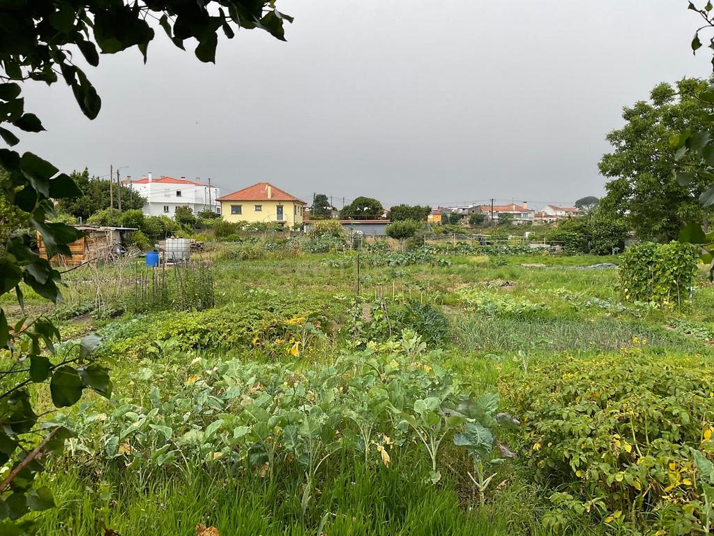 Terreno Aprovado para Projeto em Viana do Castelo - Image 11