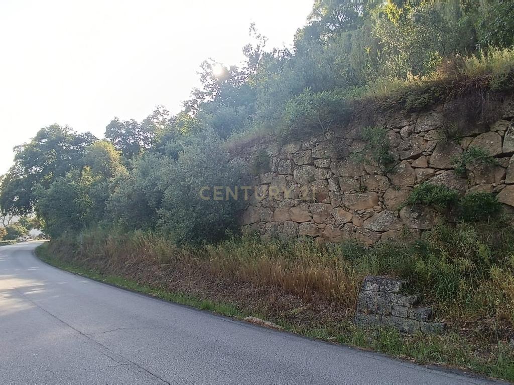Terreno florestal com vista para a praia fluvial de Porto de Rei em Barqueiros, Mesão Frio às portas do Douro - Image 23