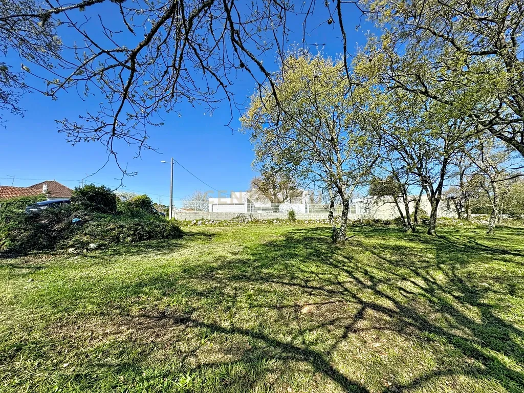 O lugar ideal para construir em plena natureza – Alcobaça - Image 19