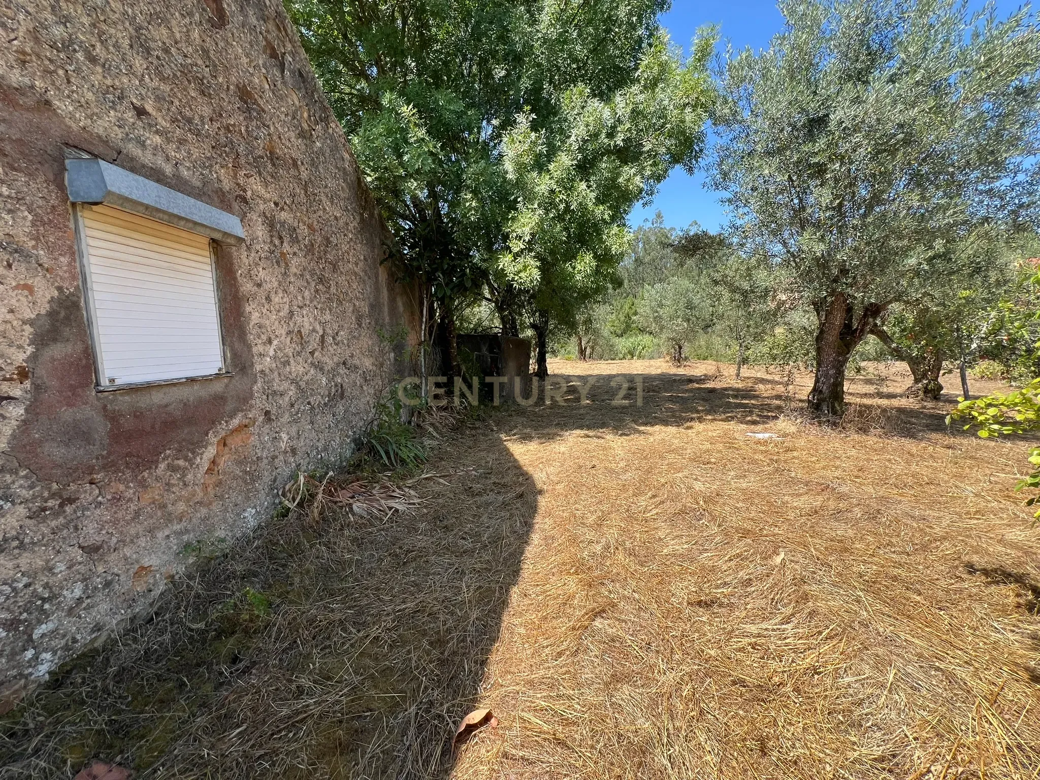 Fotografia 8 de Casa para Recuperação em Serra e Junceira, Tomar