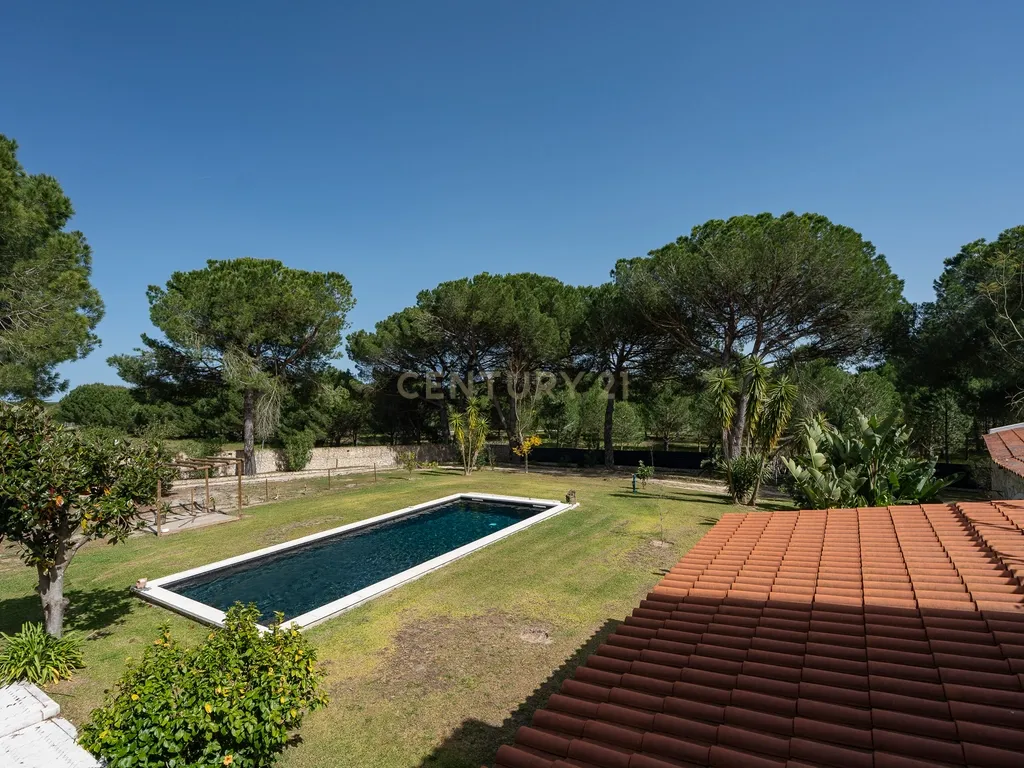 Fabulosa Quinta com lote de terreno de 22.381 m2, onde se encontra inserida uma moradia composta por dois pisos, com uma área bruta de 623 m2, uma área útil de 304 m2 e uma área bruta dependente de 319 m2, localizada em Santo Isidro de Pegões, na zona de Pegões, a pouca distância das belas praias de Setúbal. - Image 42