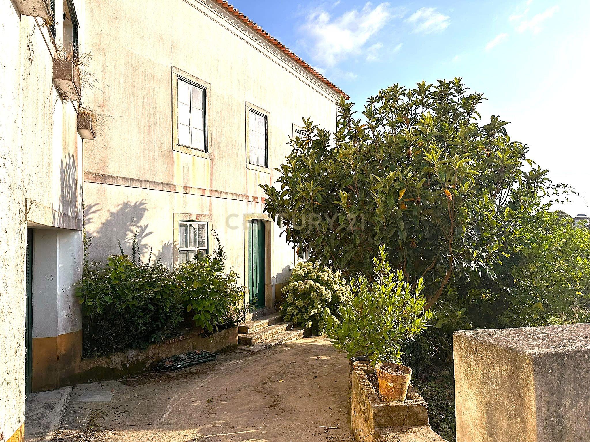 Fotografia 3 de Quinta Centenária em Abadia|Cortes, Leiria