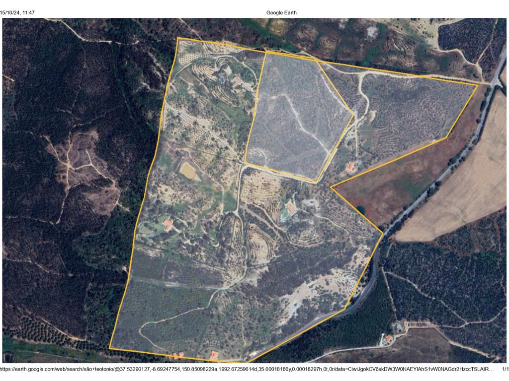 🌿 Terreno Exclusivo com 8 ha em São Teotónio — Oportunidade Única no Coração da Costa Vicentina 🌊 - Image 2