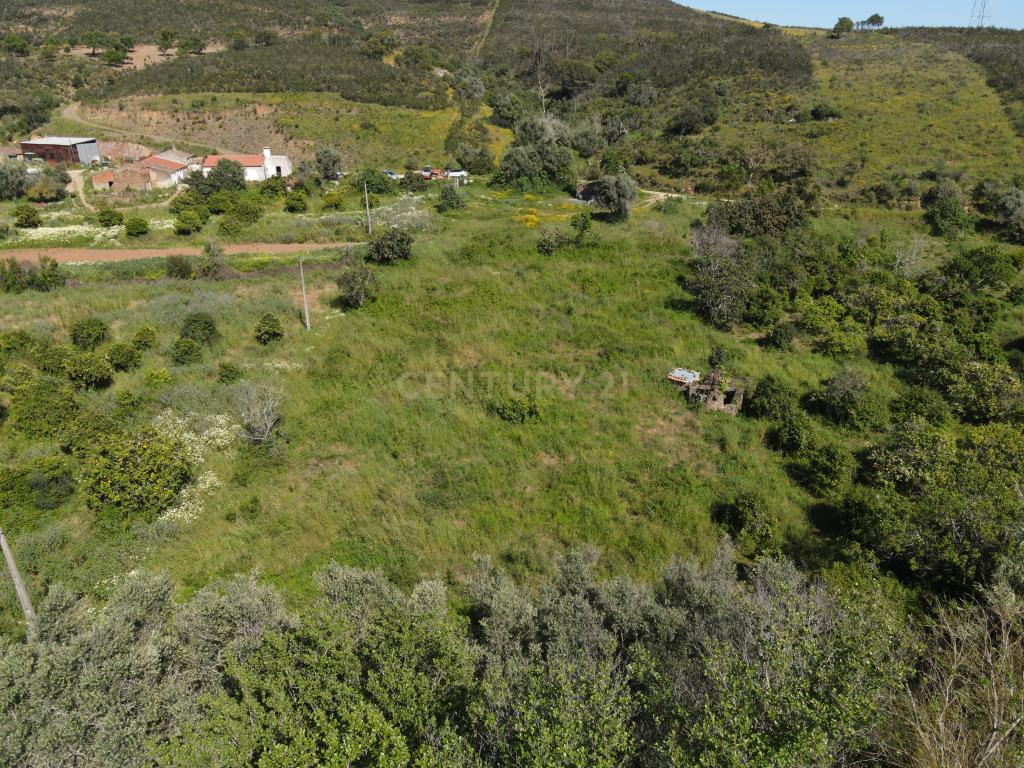 Oportunidade Única – Quinta com Potencial e Ribeira Natural - Image 7