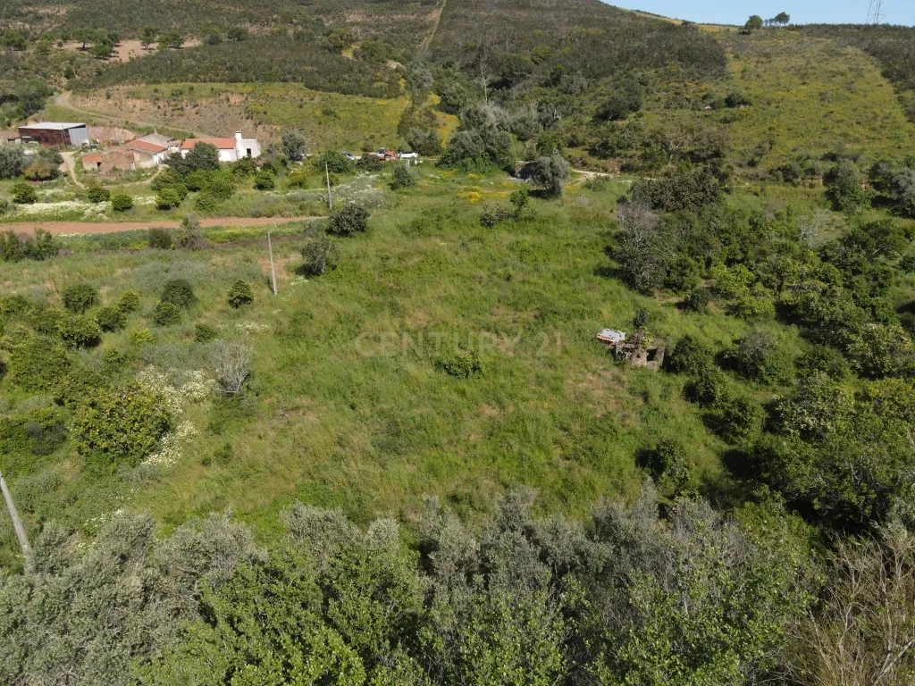 Oportunidade Única – Quinta com Potencial e Ribeira Natural - Image 7