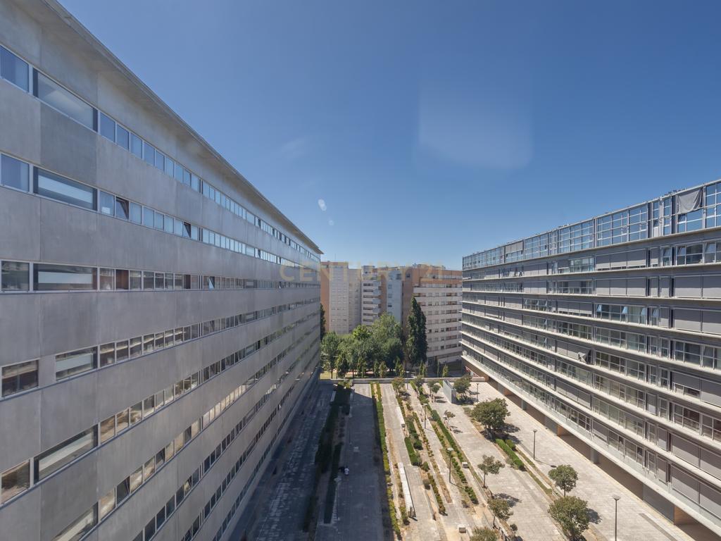 Viva com Tranquilidade em Lisboa a 150m do Parque Oeste – T1 Lumiar com Parqueamento e Arrecadação  - Image 13
