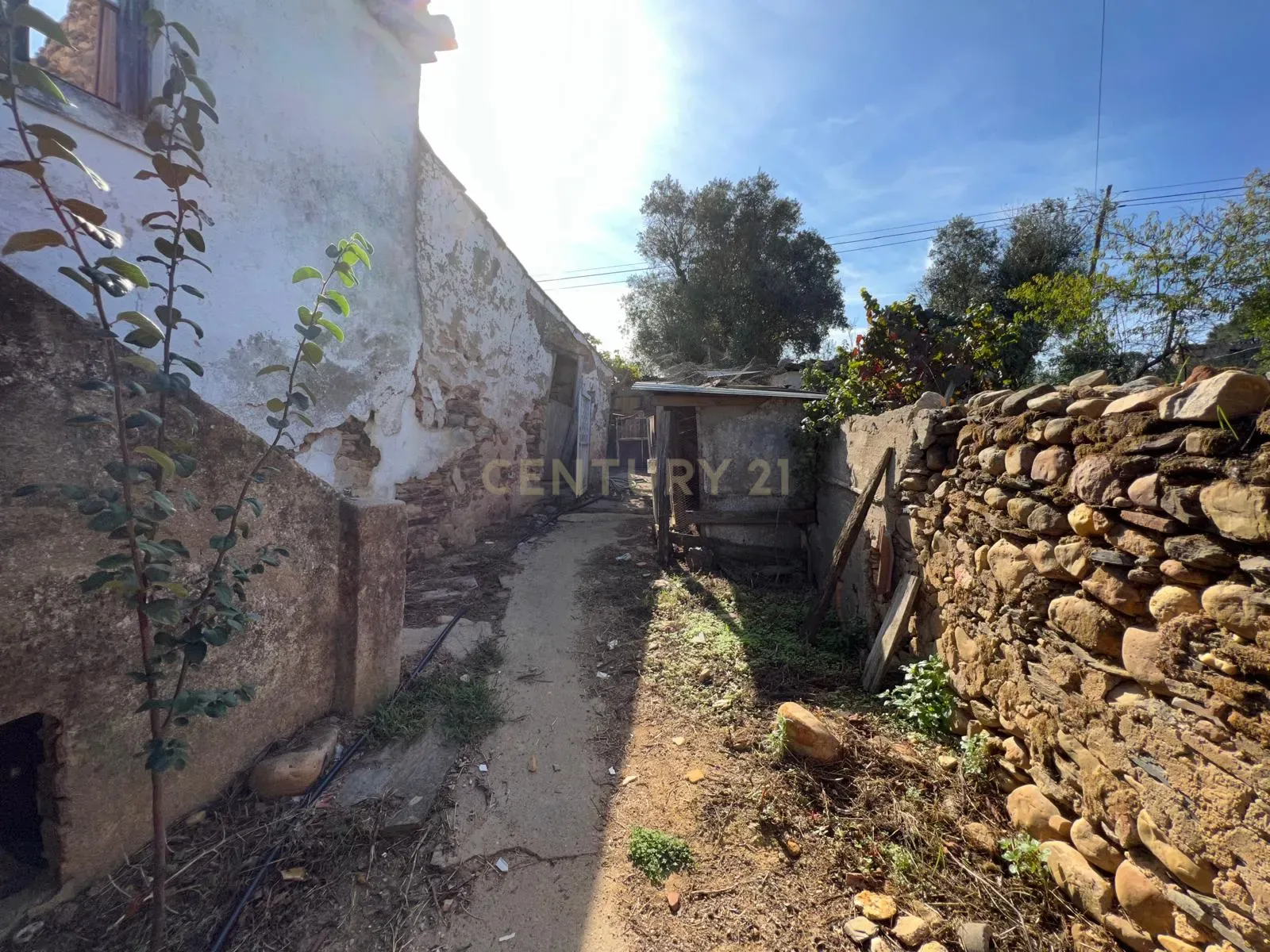Casa para reconstrução total a 10 min da Praia Fluvial de Aldeia do Mato Abrantes - Image 11