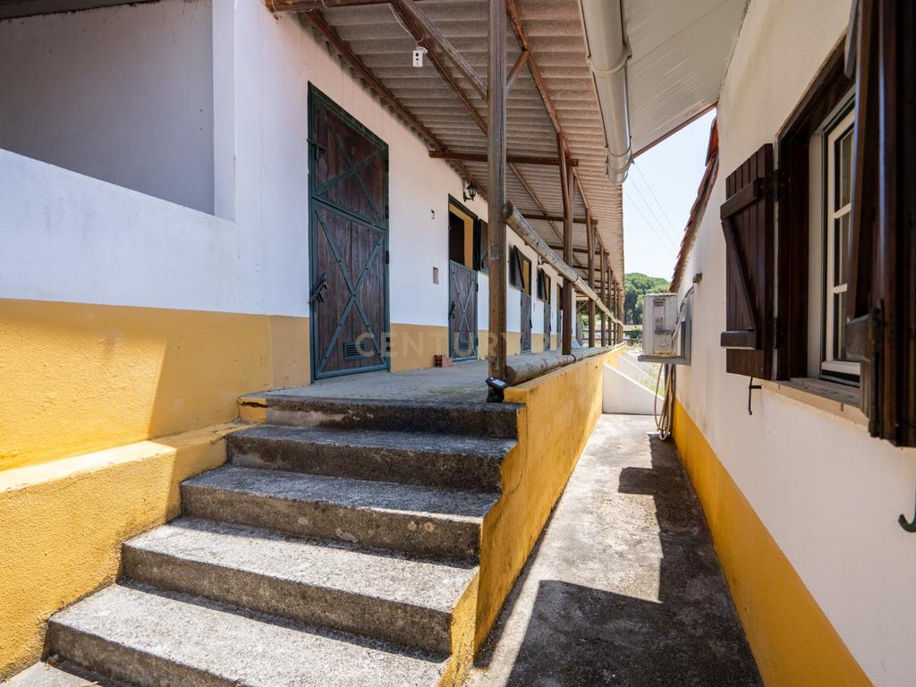 Quinta Equestre a 45 minutos de Lisboa - Image 12