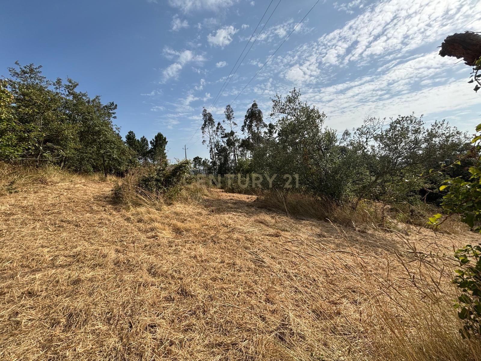 Fotografia 5 de Terreno com viabilidade construtiva em Santiago de Litém - Localização Central e Acessível
