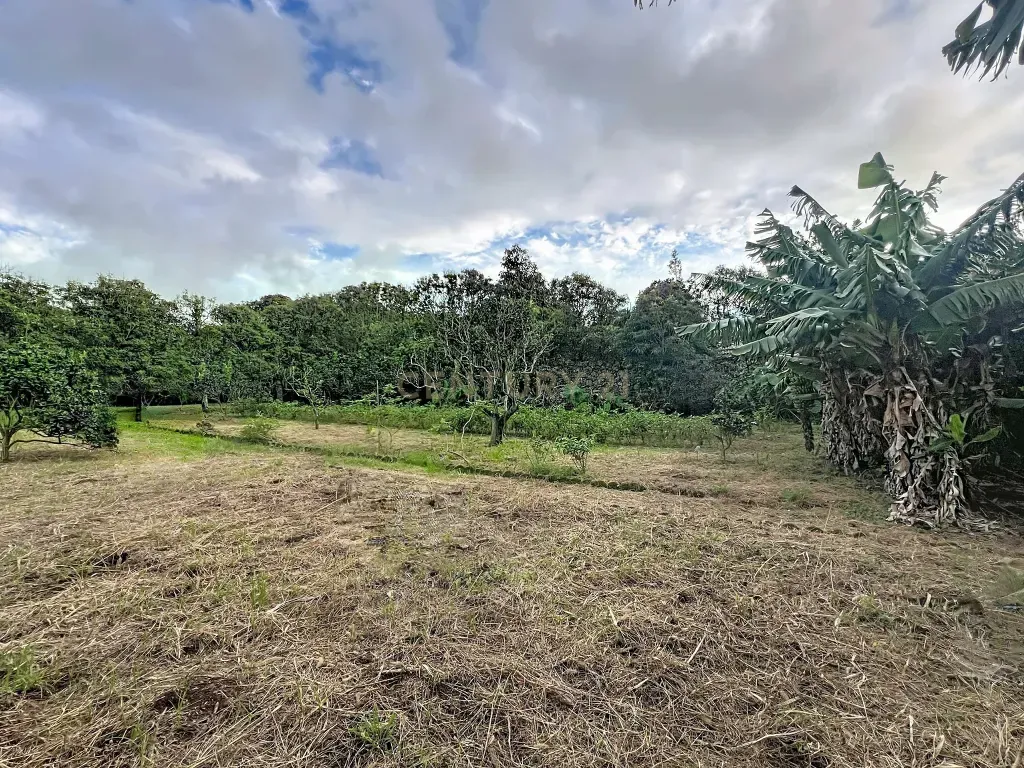 Fotografia 10 de 🍃 Quinta no Pico da Pedra – Refúgio com 1.400 m² de Tranquilidade