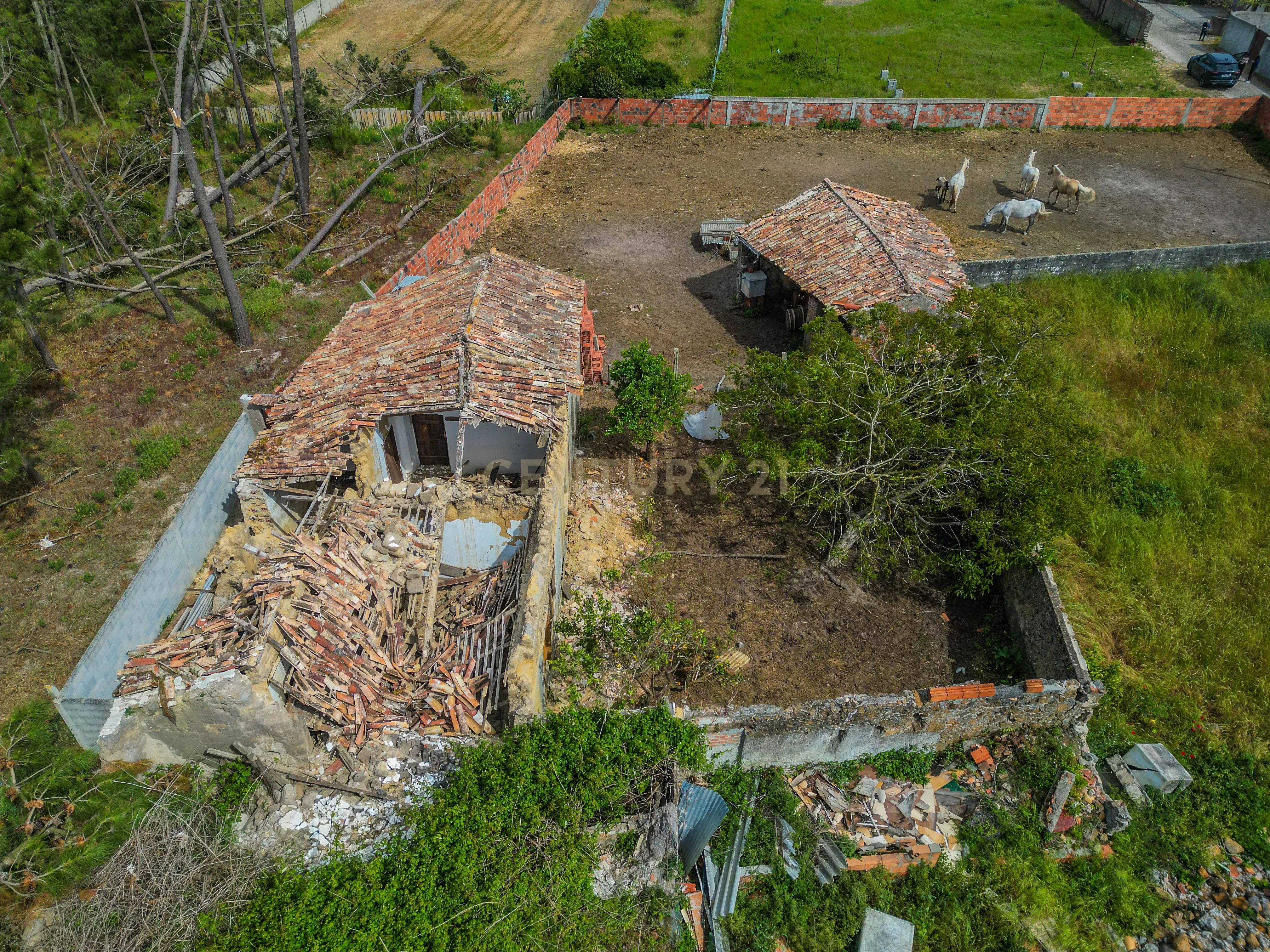 Fotografia 3 de Moradia Rústica para reabilitar em Vieira de Leiria, com terreno, a cerca de 5 minutos da Praia da Vieira