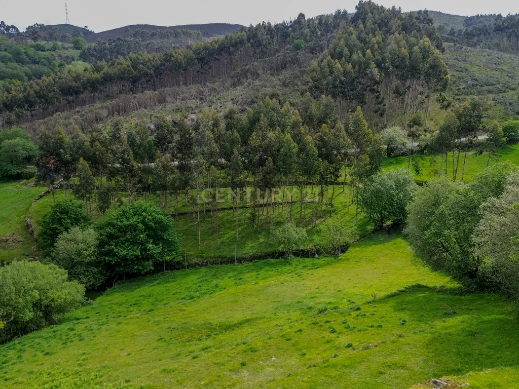 Moradia Renovada em Aboim da Nóbrega Gondomar e Vila Verde, Braga - Image 23