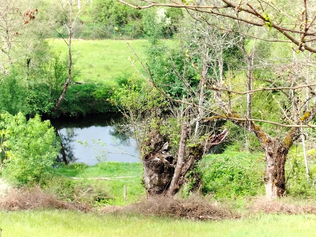 Terreno de 4.500 m² em Meixedo, Bragança — uma oportunidade para um projeto de ecoturismo e turismo de natureza - Image 2
