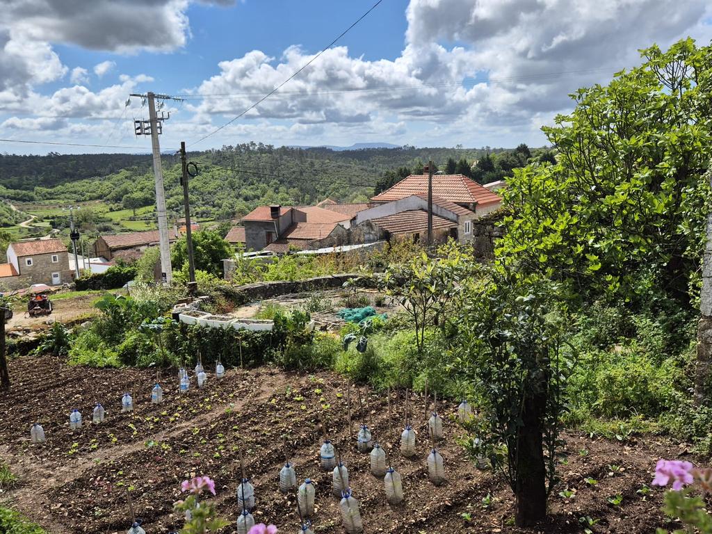Oportunidade Única - Refúgio com vista para a Serra de Sicó, em Cotas, Pombalinho.  - Image 31
