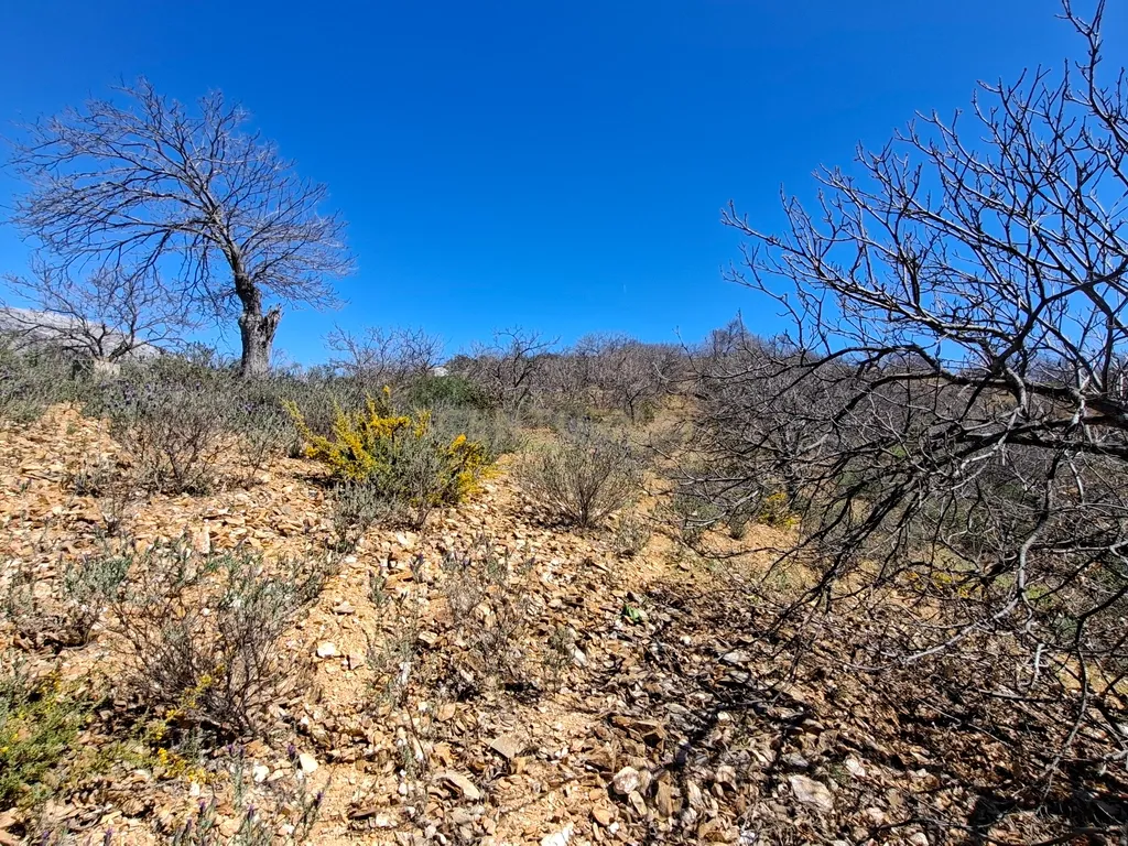 Moradia geminada de gaveto, com orientação sul, vistas para a montanha e duas propriedades rústicas com oliveiras, vinhas e castanheiros, no coração do Alto Genal. - Image 36