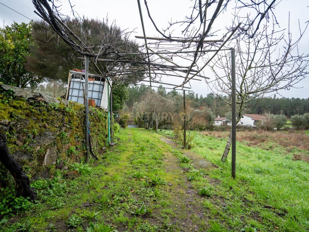 Quinta T5 em Poiares, Vila Nova de Poiares - Oportunidade Única - Image 12