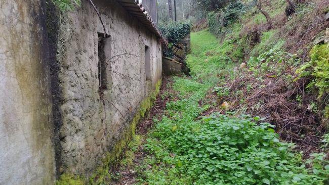 Moradia para reconstrução em Maçãs de D. Maria - Image 3
