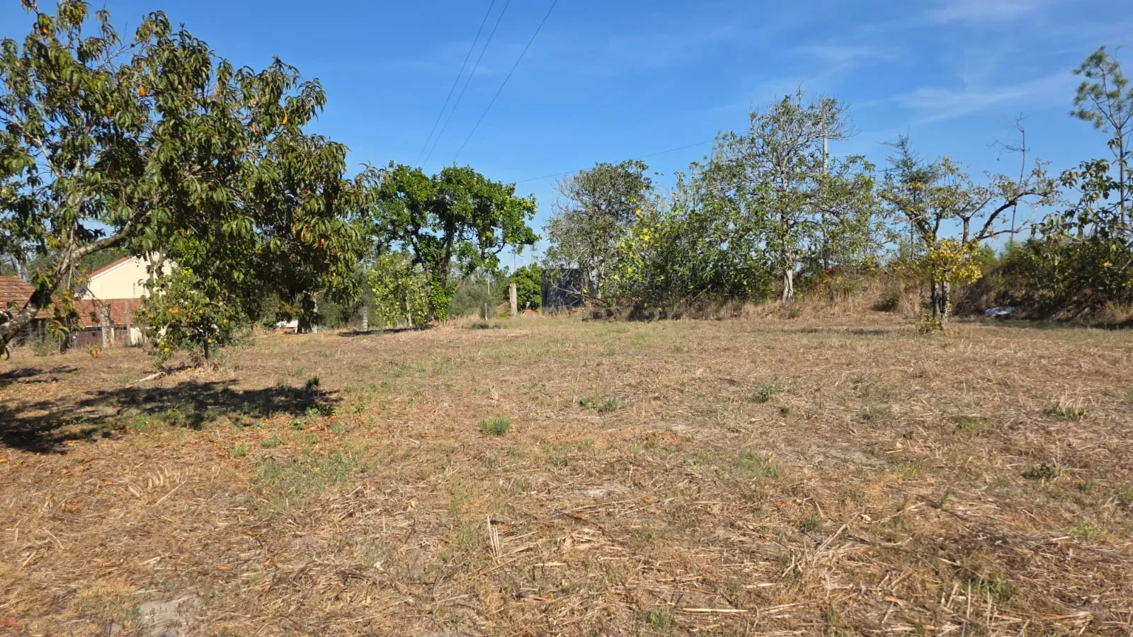 Moradia T2 à venda em Almagreira, Pombal — foto 35