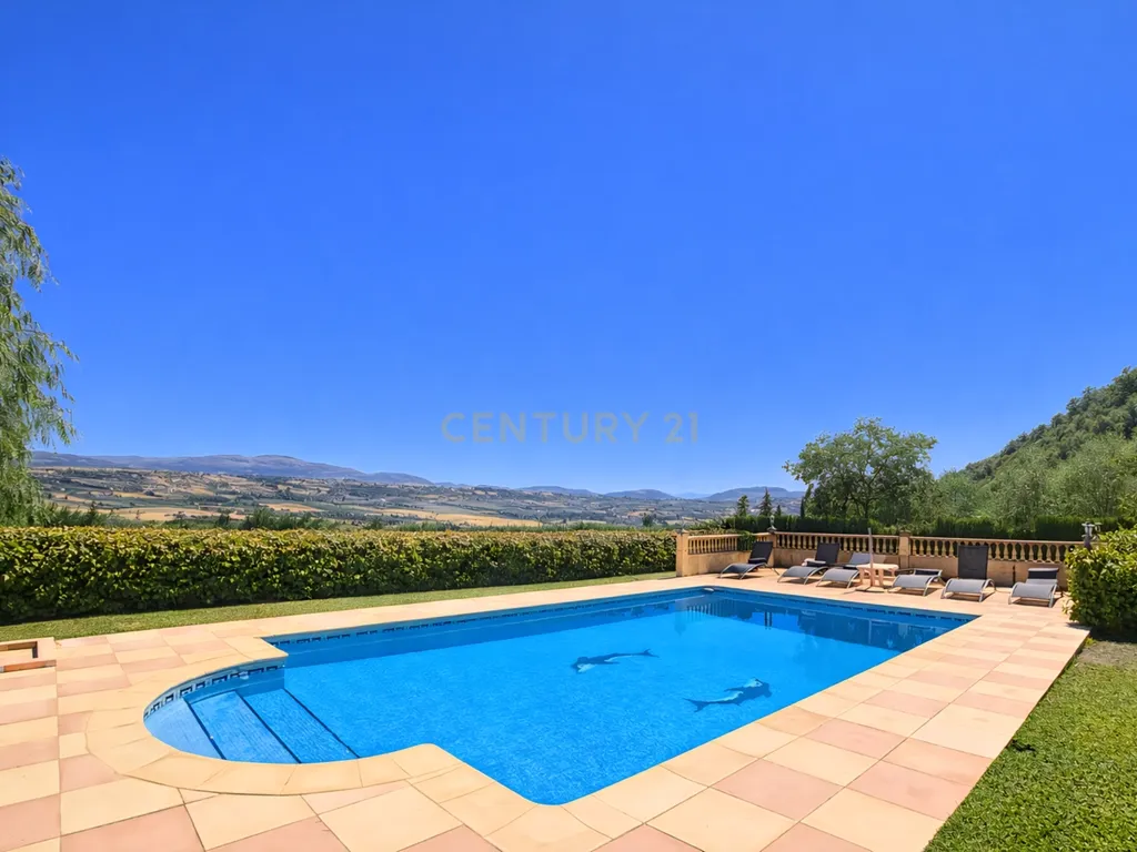 Quinta com vistas panorâmicas em Ronda, piscina privada, olival em produção e casa andaluza · Ideal para investimento em turismo rural - Image 1