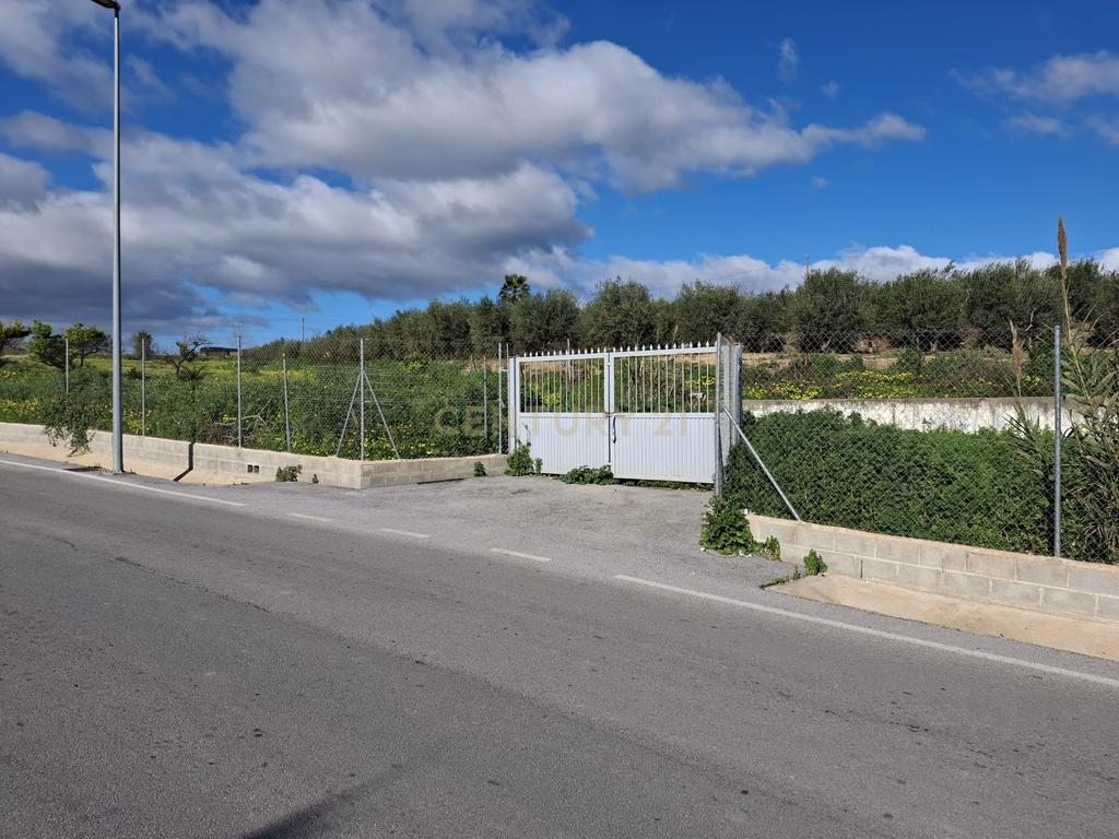 Terreno rústico em Alhaurin de la Torre (Málaga): Vistas de montanha e acesso a serviços - Image 9