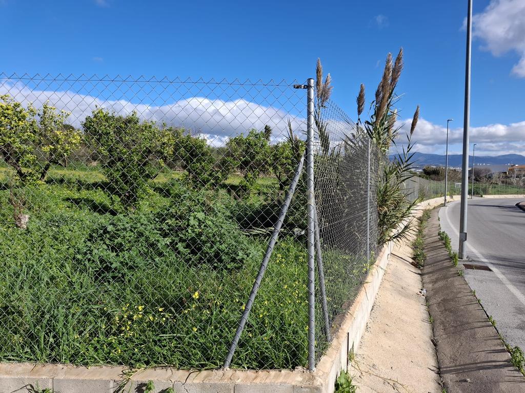 Terreno rústico em Alhaurin de la Torre (Málaga): Vistas de montanha e acesso a serviços - Image 6