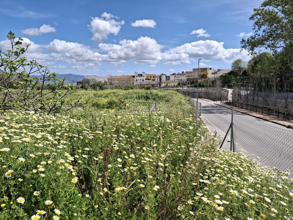 Terreno rústico em Alhaurin de la Torre (Málaga): Vistas de montanha e acesso a serviços - Image 21