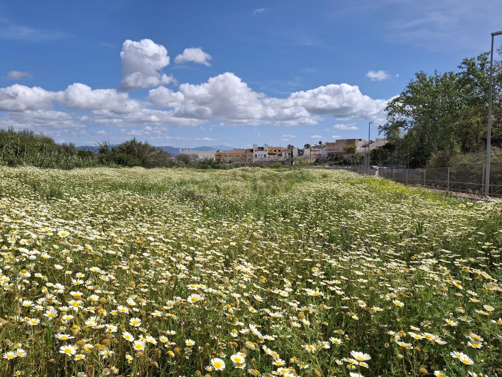 Terreno rústico em Alhaurin de la Torre (Málaga): Vistas de montanha e acesso a serviços - Image 20