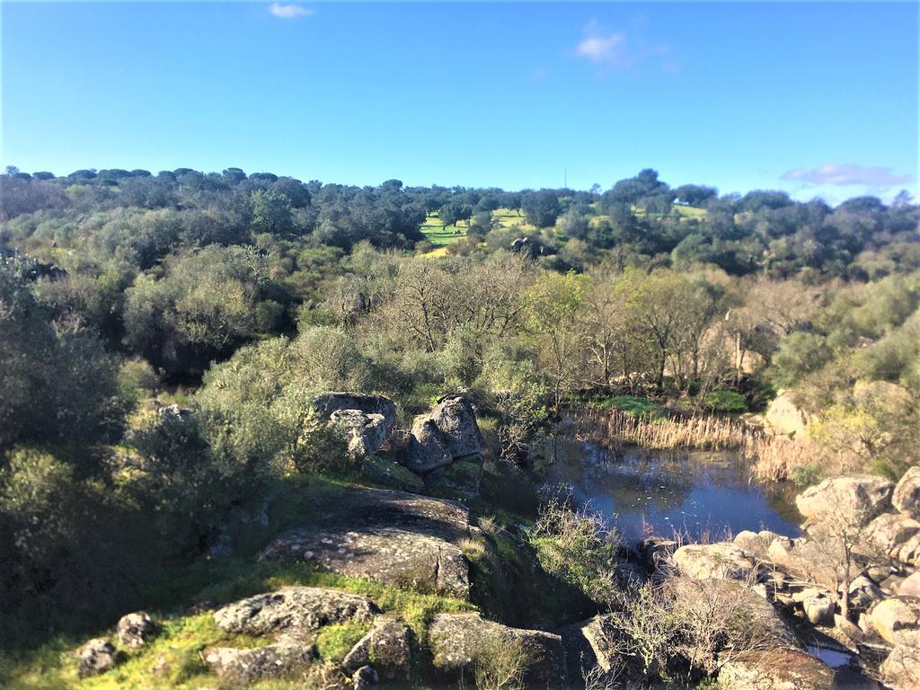 Quinta Típica Alentejana, Licença de Turismo Rural, Arrendamento, Arraiolos - Image 45
