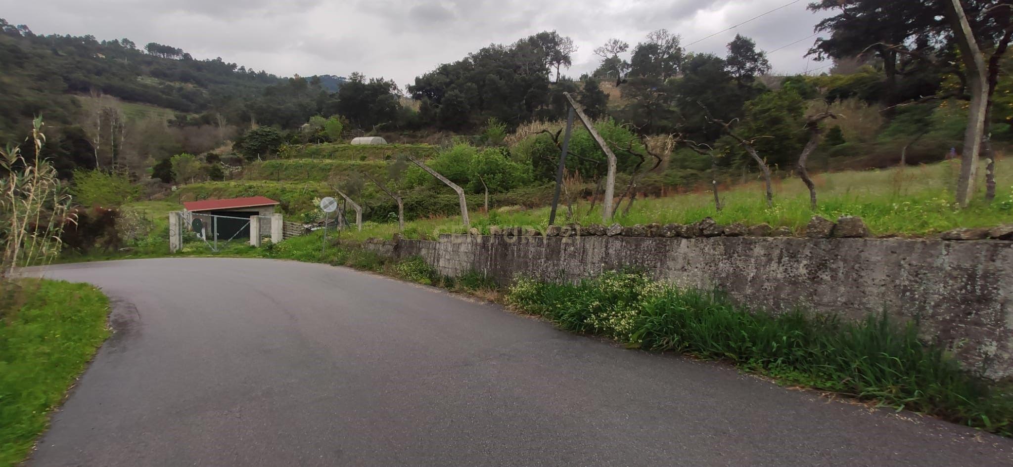 Terreno agrícola com àgua e viabilidade de construção em Granja, S. Tomé de Covelas, Baião, perto do do rio Douro, Porto - Image 16