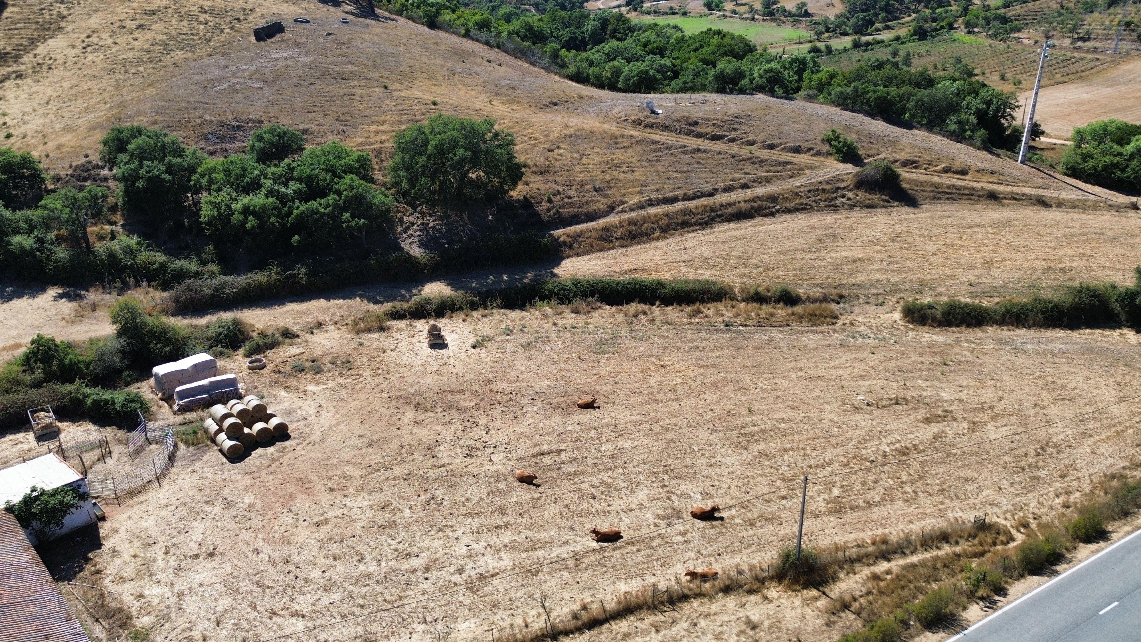 Fotografia 10 de HERDADE COM 193 HECTARES | BOAVISTA DOS PINHEIROS, ODEMIRA