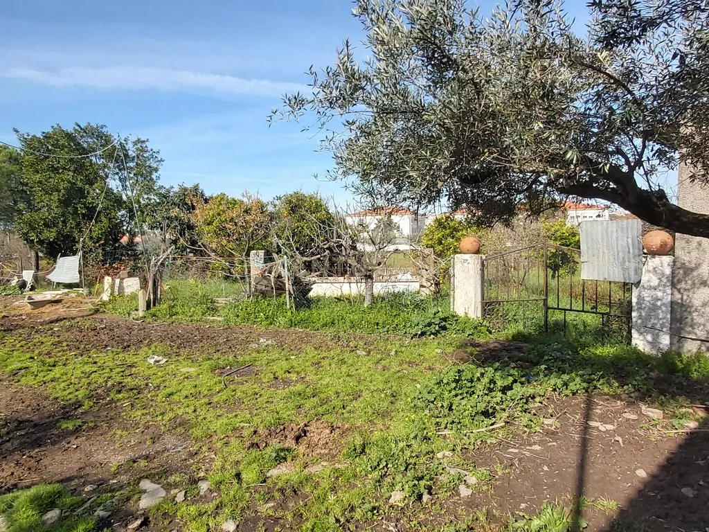 ✨ Terreno com 8.500 m² com 2 Moradia na encantadora Vila da Amareleja – Alentejo ✨ - Image 4