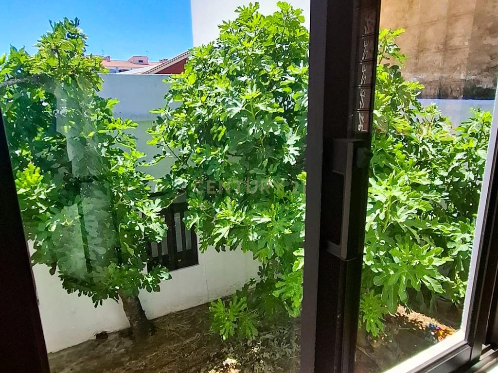 Moradia T3+2 com Terraço, Pátio e Espaço Comercial em São Bartolomeu de Messines – Silves, Faro - Image 28
