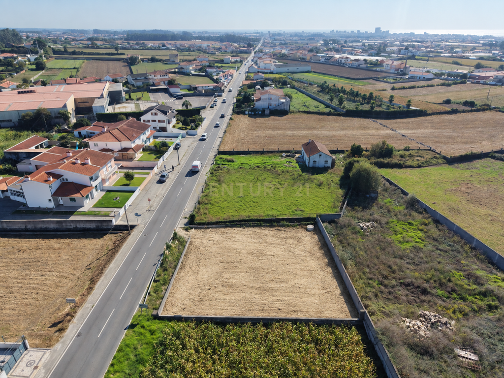 Terreno para construção em Póvoa de Varzim com Poço e Árvores de Fruto - Image 8
