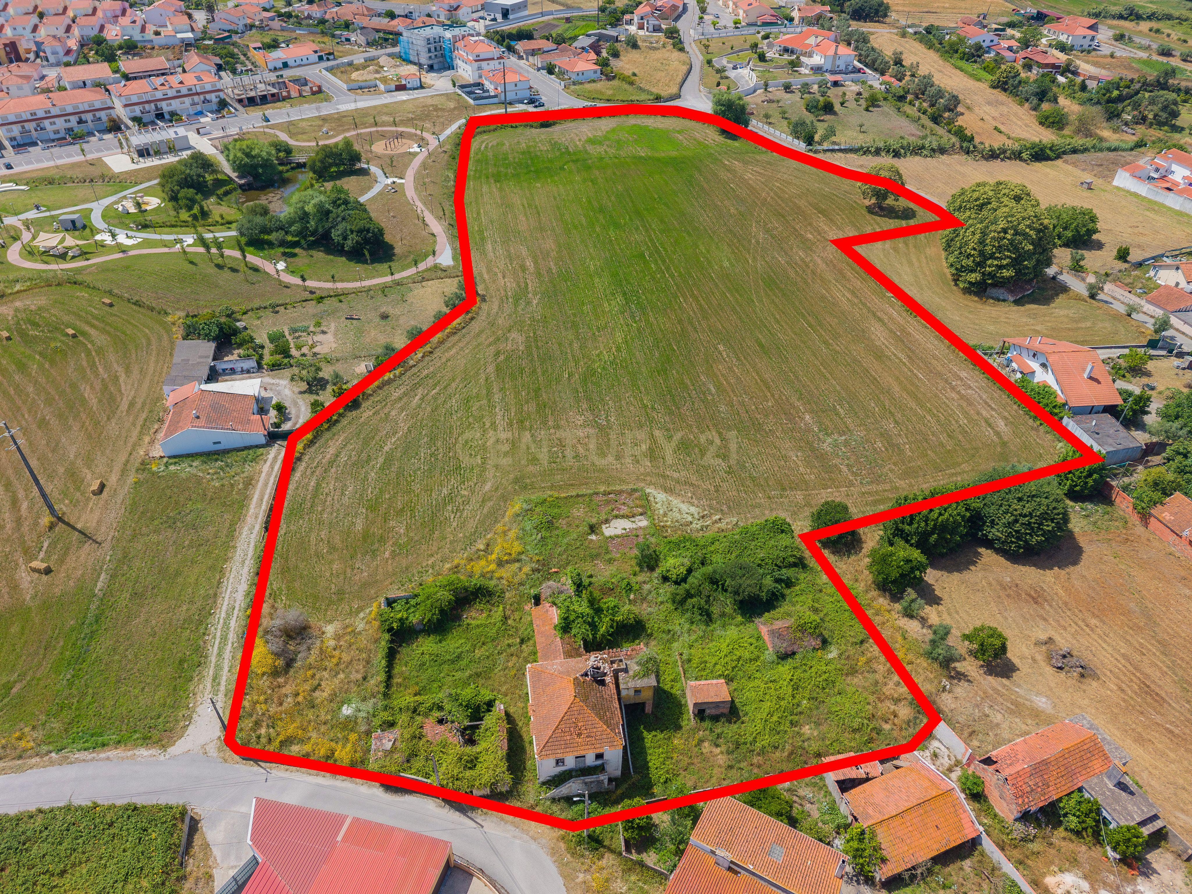 Fotografia 2 de INVESTIMENTO COM ELEVADO POTENCIAL DE VALORIZAÇÃO - 2,3 HA