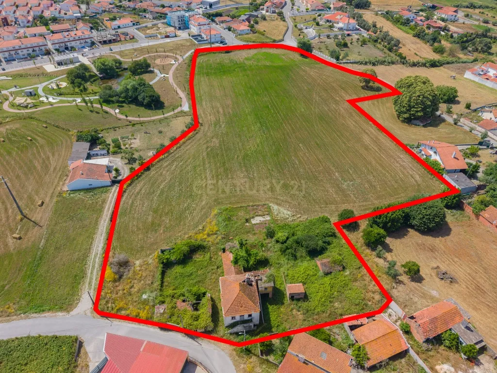 INVESTIMENTO COM ELEVADO POTENCIAL DE VALORIZAÇÃO - 2,3 HA - Image 2